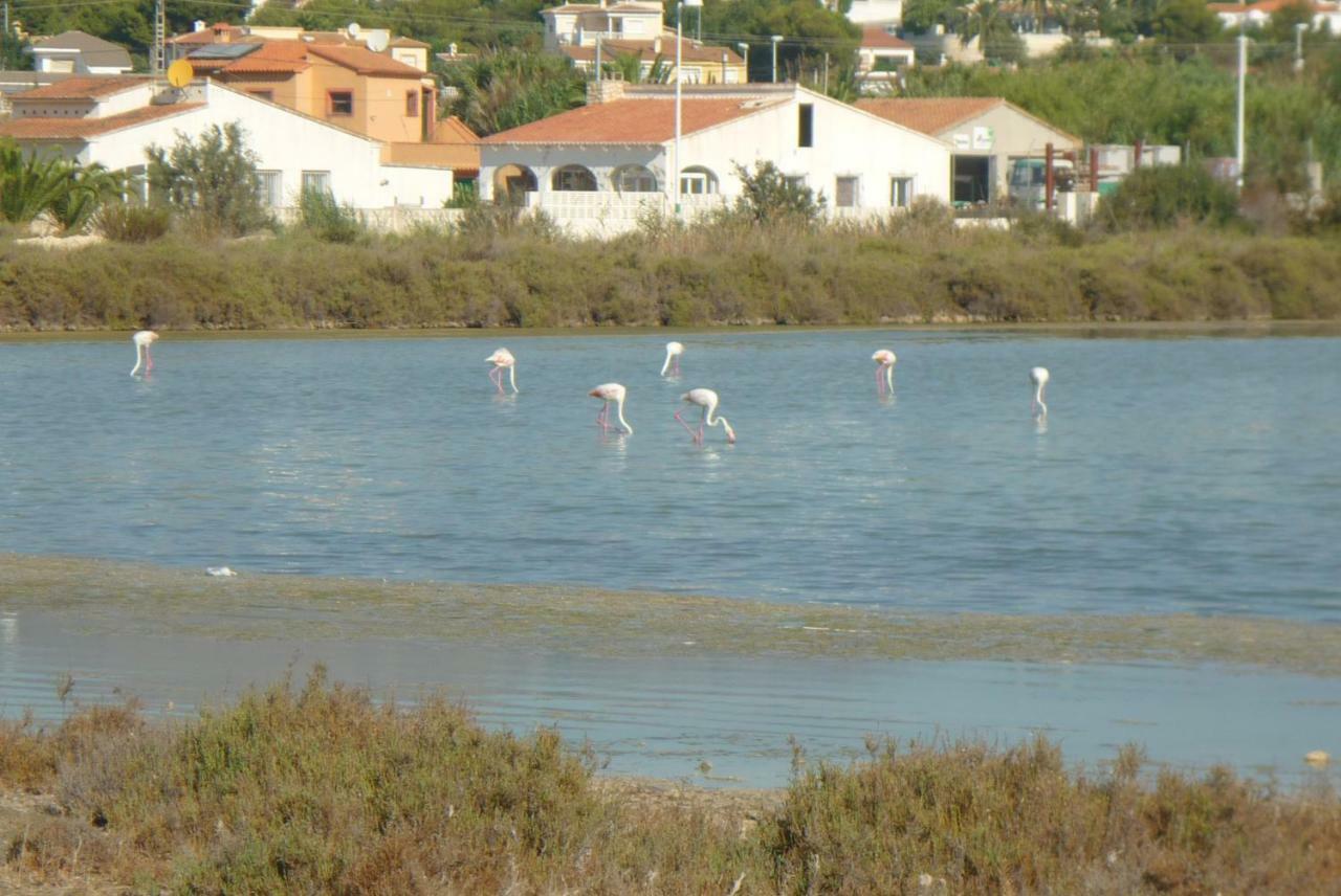 Panorama Daire Calp Dış mekan fotoğraf